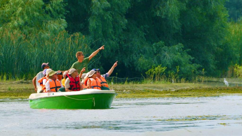 Corsar 730 Cruiser - vedere generală